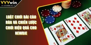 Luật Chơi Bài Cào Rùa Và Chiến Lược Chơi Hiệu Quả Cho Newbie